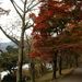 20071123_hakonetrip_008